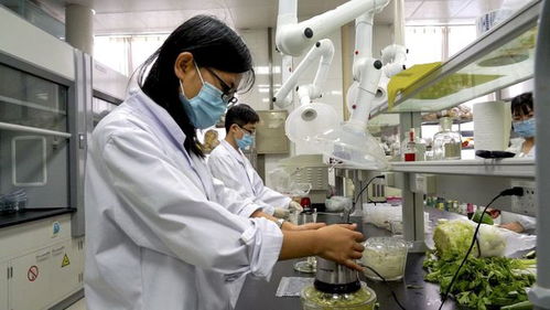 安丘市推進(jìn)農(nóng)產(chǎn)品檢驗(yàn)檢測(cè)流程再造，開啟檢測(cè)信息共享新篇章